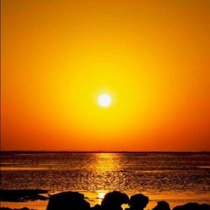 Meet your Posher, Rocco